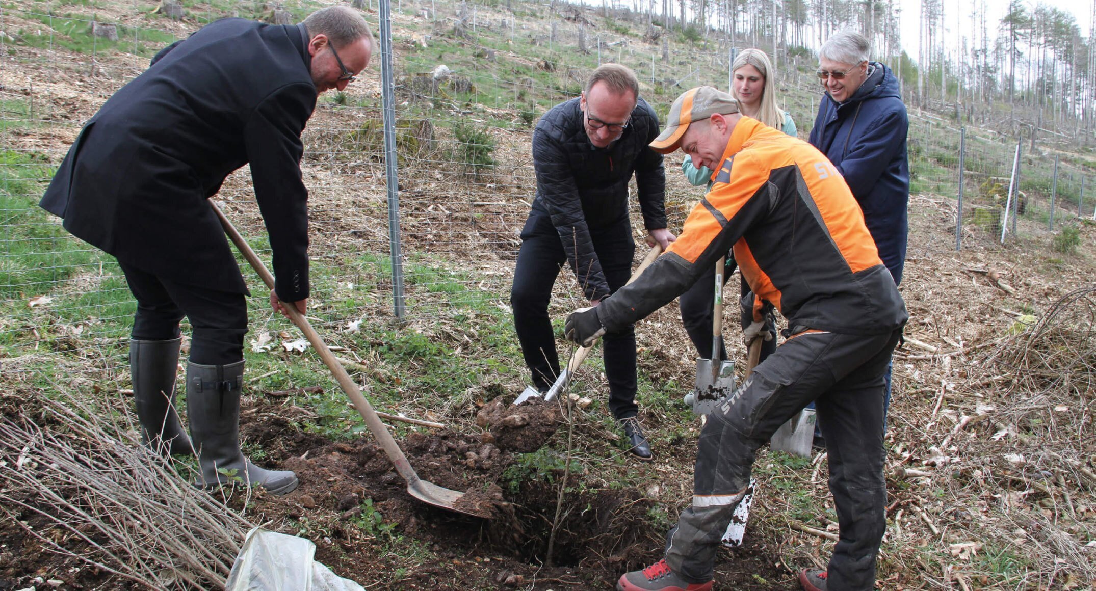 Wortmann Group plant duizenden bomen voor herstel bosgebied