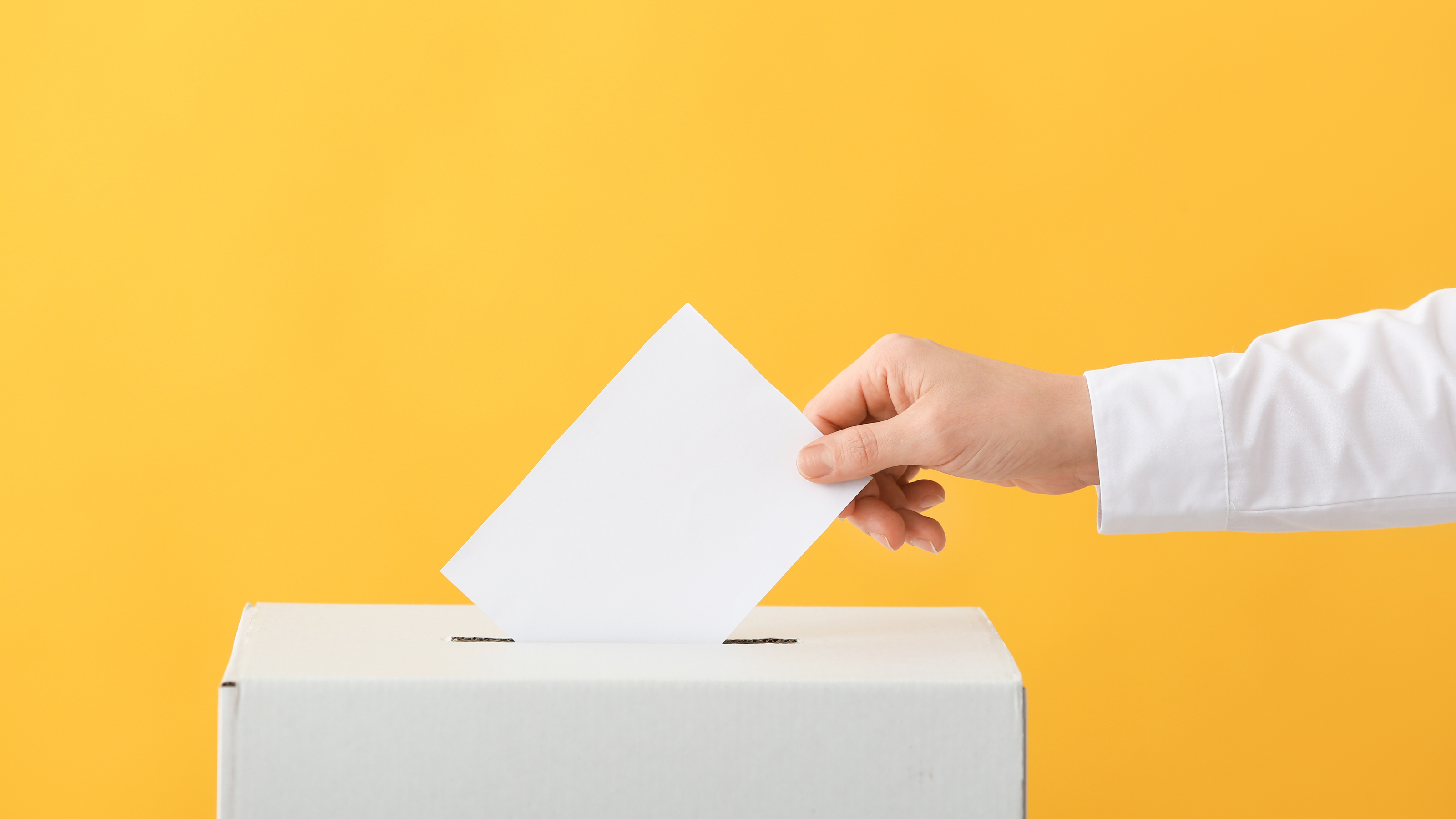 INretail: voting tool for the retail sector: which party fits best?