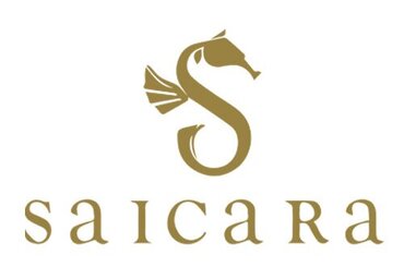 Logo_Saicara_Vector goud.jpg