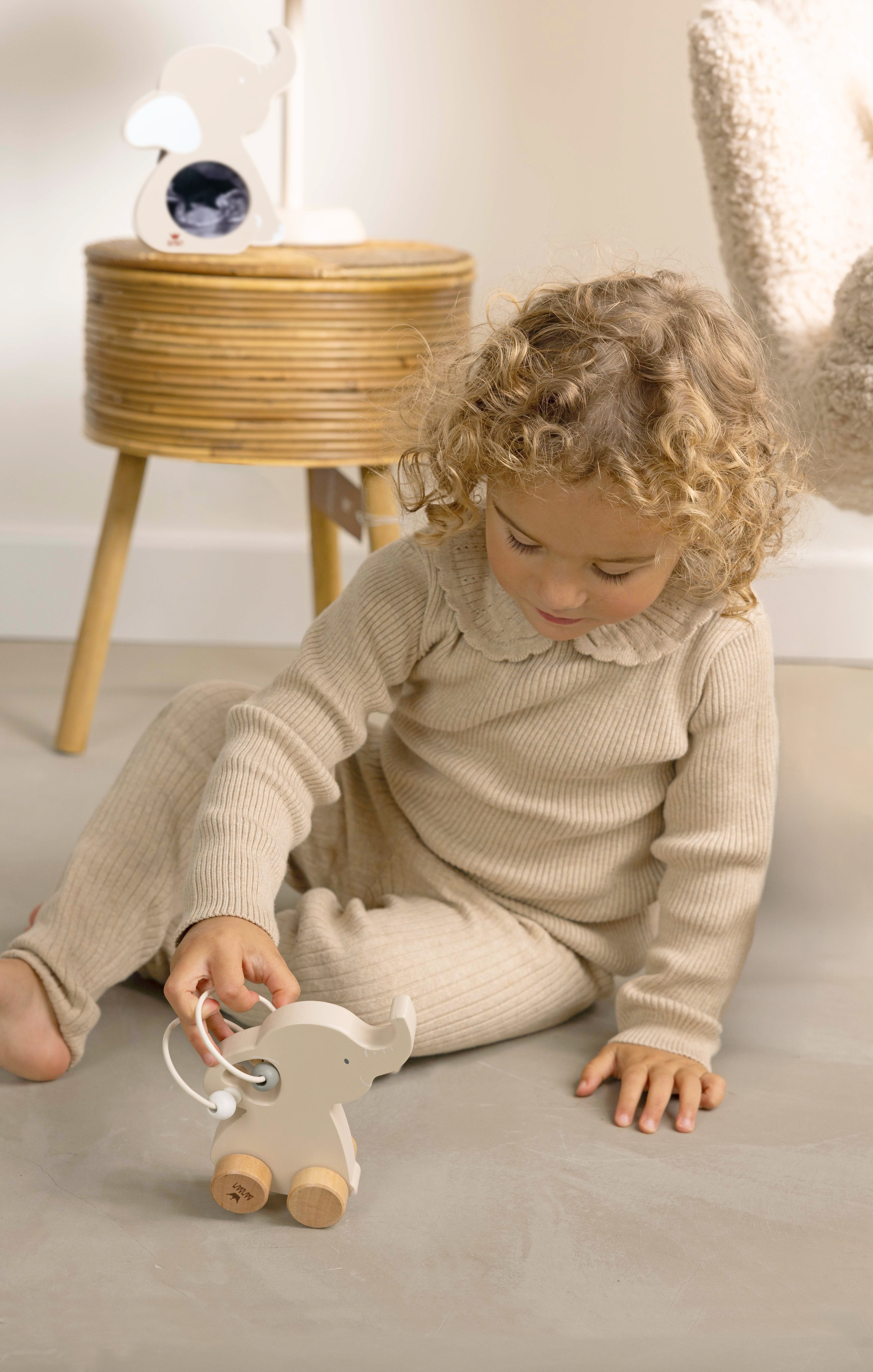 Eco Friendly Elephant on Wheels (2).jpg